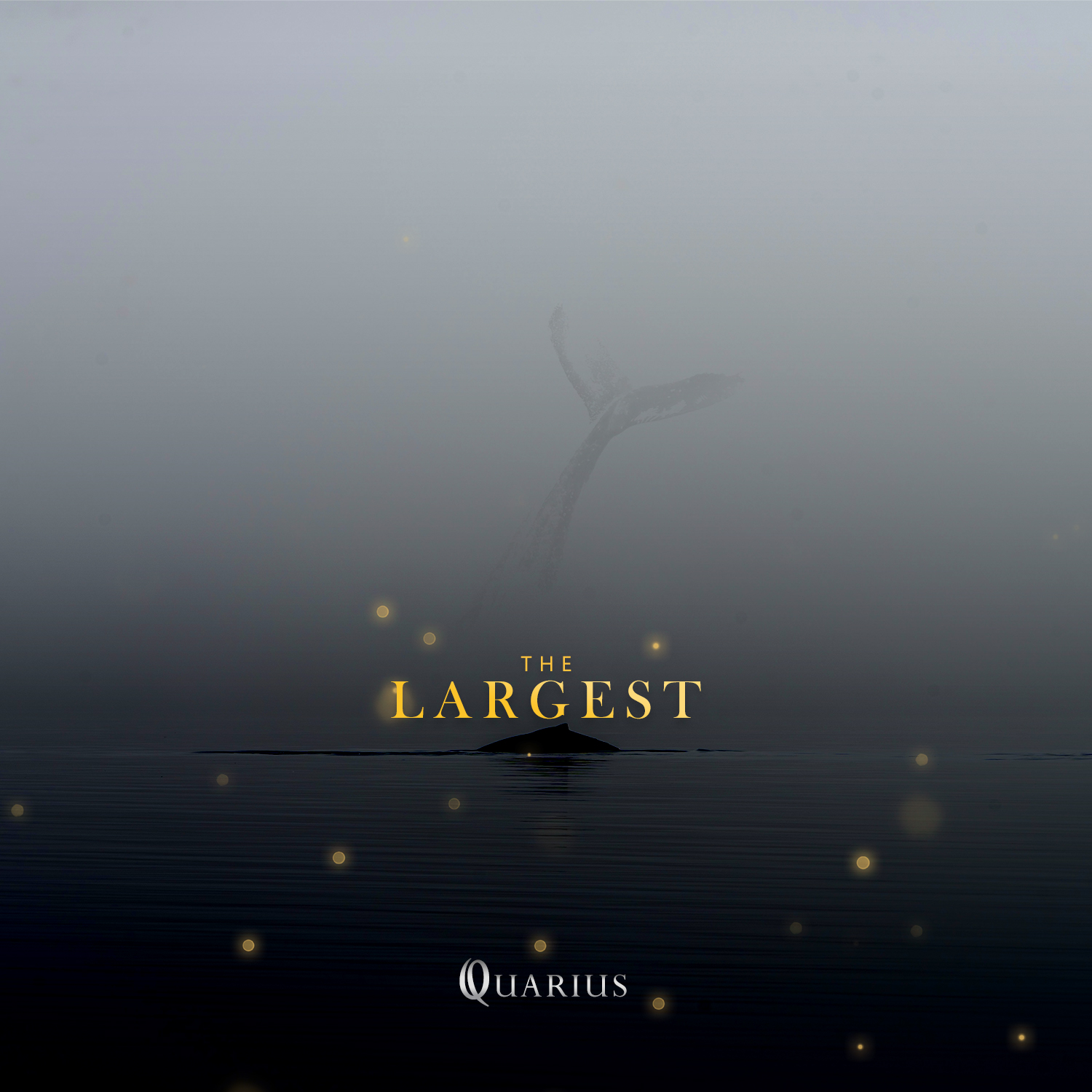 Quarius-The Largest official album artwork